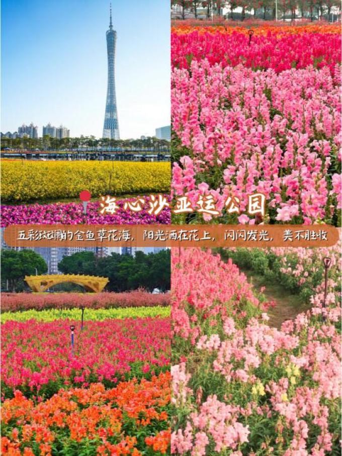 匠心绽放鲜花速递
