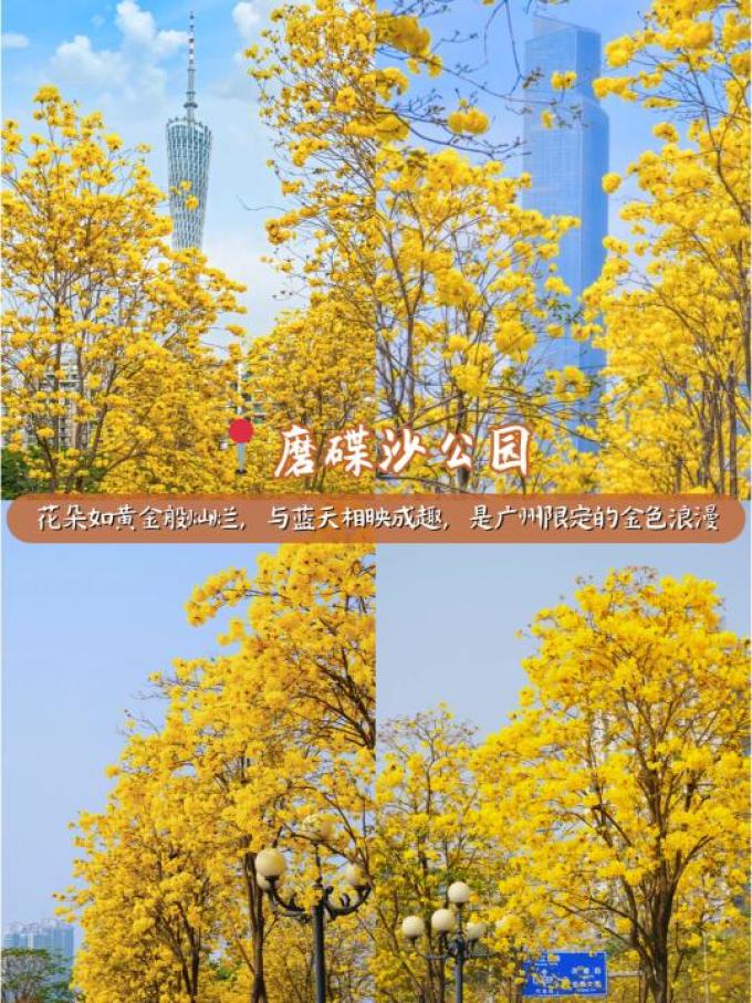 匠心绽放鲜花速递