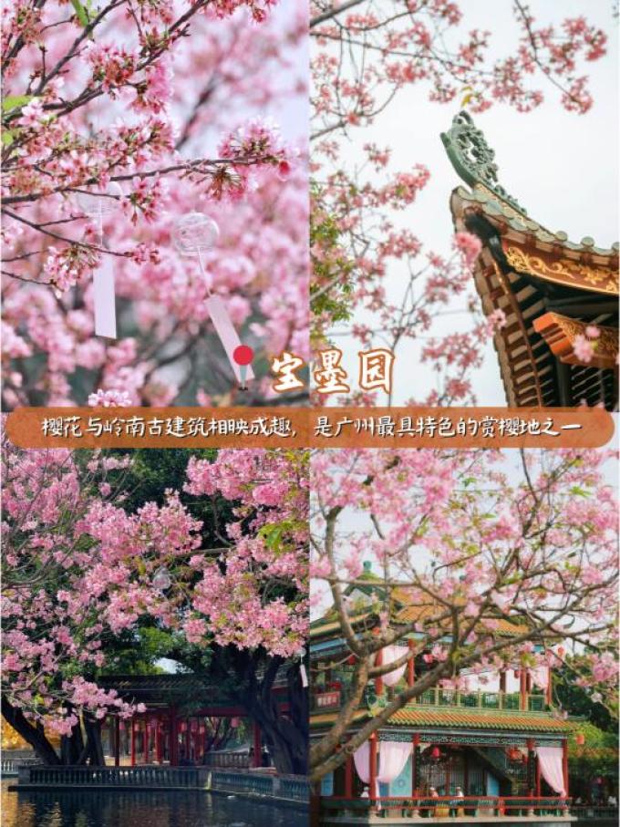 匠心绽放鲜花速递