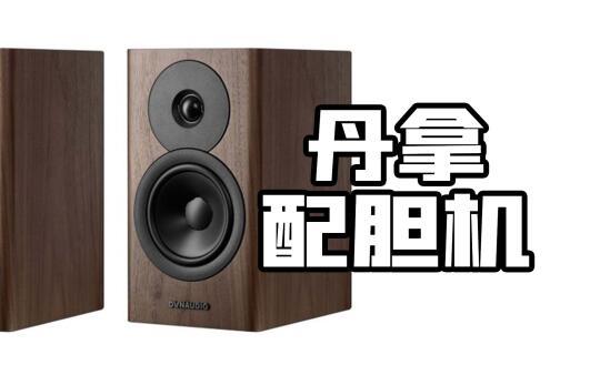 【线下试听分享】丹拿 evoke 10搭配TP33