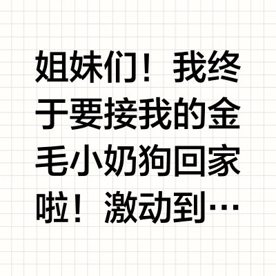 新手必看！接1个月金毛宝宝前的10项清单