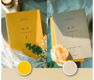 《第二性》：智慧与自我认知的深刻启迪