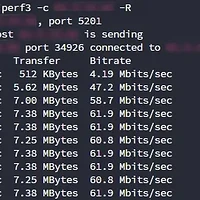 Padavan 老毛子固件启用 opkg 并安装 iPerf3