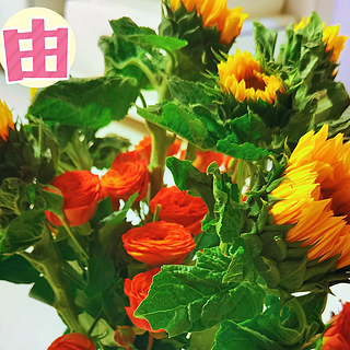 21元实现鲜花自由！女神节的鲜花解锁秘籍。