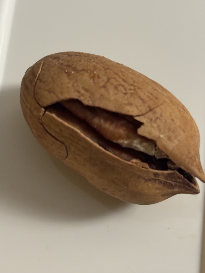 洽洽其他坚果