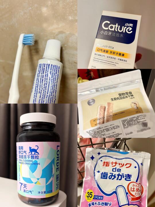 口臭猫咪用过的所有产品（无广版）