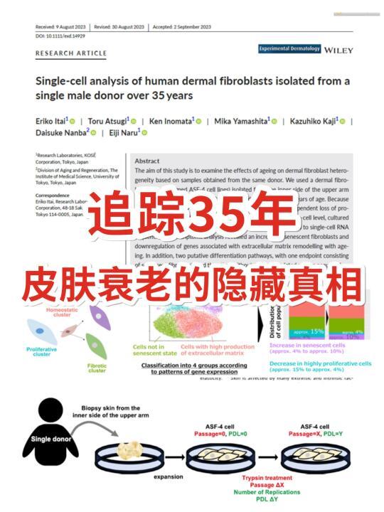 日本高丝对一个男人长达35年追踪