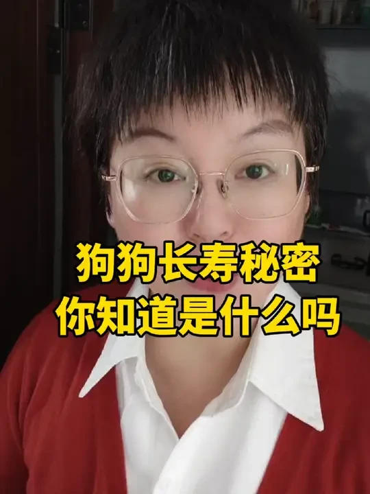 狗狗长寿的秘密，你知道是什么吗？#养狗经验分享#萌宠好物#宠物零食#新手养狗