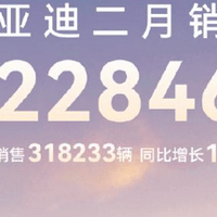 比亚迪2月份销售322846辆 同比增长164％