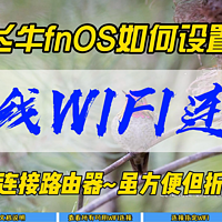 飞牛fnOS如何设置无线WIFI连接~