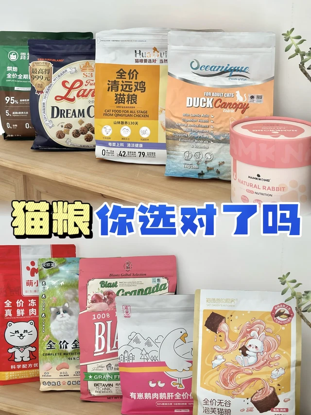 猫粮你选对了吗？