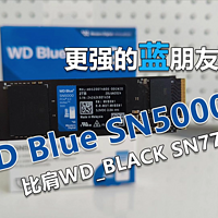 WD Blue SN5000评测：比肩SN770更强的蓝朋友