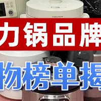 电压力锅哪个牌子好？品牌实际测评揭晓！