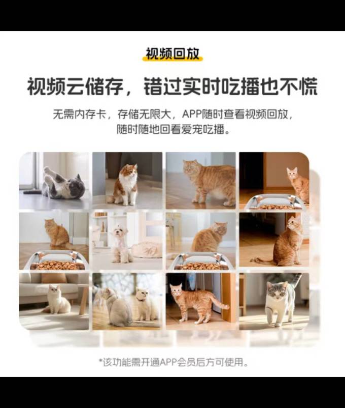 玲珑猫宠物智能饮水机