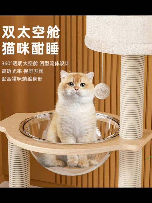 珑小宠127cm猫爬架：打造猫咪专属乐园