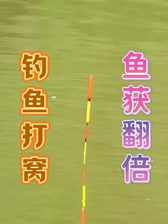听70后大叔说打隔夜窝鱼获会翻倍,没有过命交情我是不会公开的 #爱生活爱钓鱼 #野钓惊喜无处不在 #城市渔仓#中逵小师达#中逵钓鱼王30周年正青春@中逵创始人