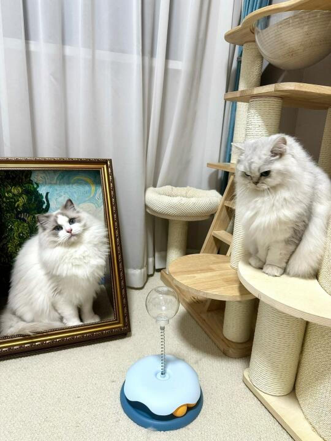 油画猫窝:艺术与舒适的完美结合,猫咪新宠
