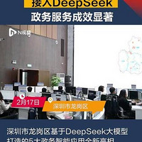 DeepSeek点亮政务之光