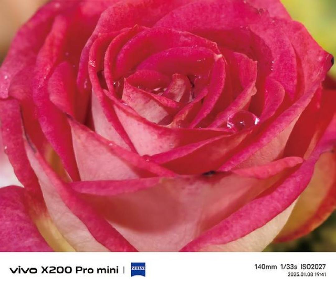 用了一个月vivo X200 Pro mini,真实体验分享,这款小屏旗舰让我爱不释手