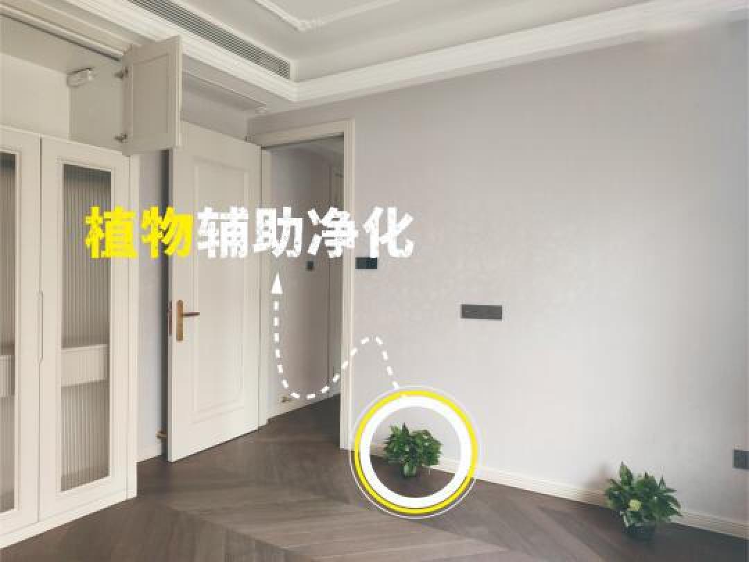 科学高效去除甲醛的全攻略:通风、吸附、分解与更多最佳实践