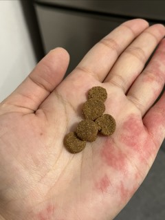 聊一聊素力高美毛拌饭粒