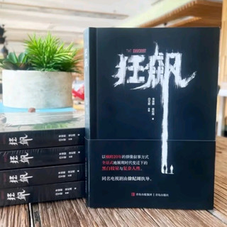 开年好剧心灵之旅:《三体》、《去有风的地方》与《狂飙》观后感