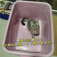 是猫小还是盆大——论用收纳箱DIY猫砂盆的好处