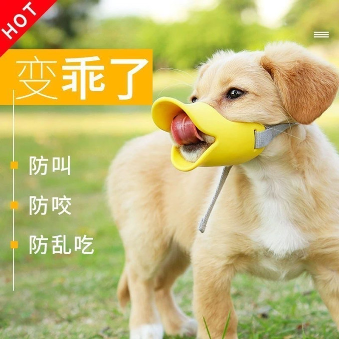 贝意品其他宠物出行装备