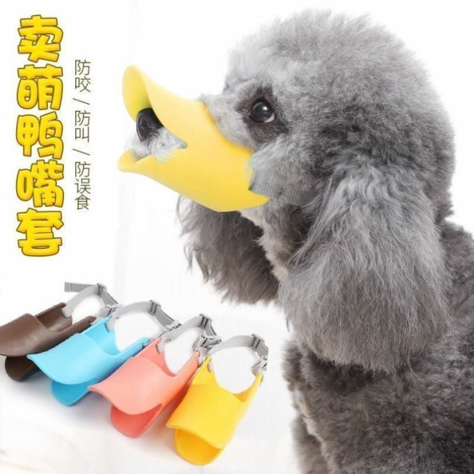 贝意品其他宠物出行装备