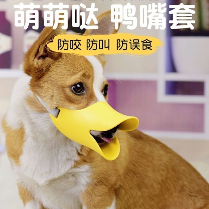贝意品其他宠物出行装备