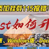 添加挂载115报错？Alist如何升级？