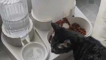 华元宠具猫咪自动喂食器饮水机一体猫碗双碗设计：宠物喂食新体验