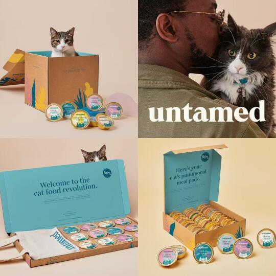 🐈宠物品牌勇闯美国市场 这么做绝了！🐱