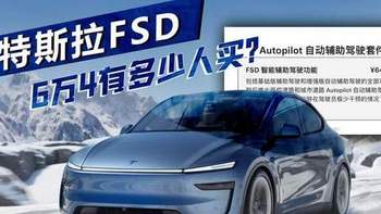 特斯拉FSD入华，以为是“鲶鱼”，谁知是6.4万的“智商税”？