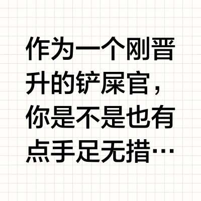 宠物新手必看‼️养宠前一定要知道的10件事