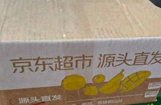 一口甜润，邂逅海南阳光——京觅海南玉菇甜瓜