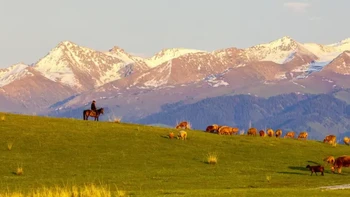 物价骨折！15座小城躺平指南！四季如春、日照管饱...是时候考虑自己的“人生副本”了！ 