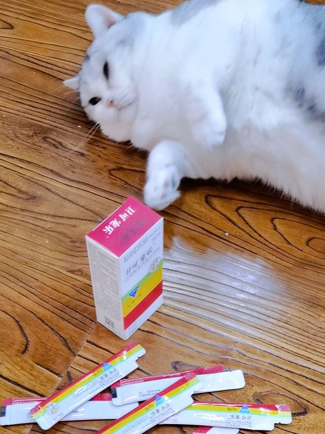 🐱猫癣期间消毒为啥这么重要？一文读懂！