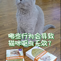 哪些行为会导致猫咪驱虫无效？