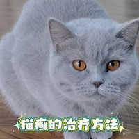 猫癣的治疗方法