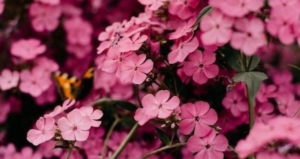 ViewSonic显示器色彩调整指南 全面解析与实用技巧