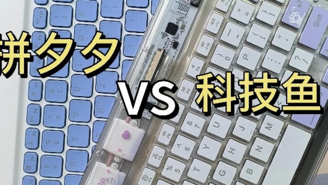 百元静音键盘横评：科技鱼 vs 拼夕夕平替款，谁更值得入手？