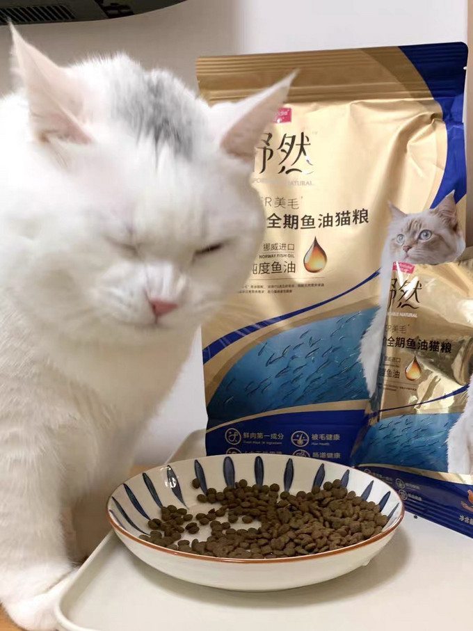 麦富迪猫咪干粮