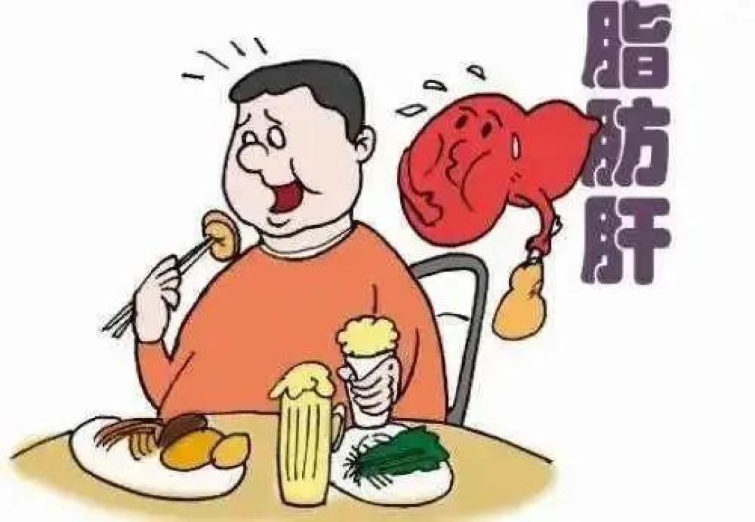 男子为治脂肪肝过度节食反增脂肪,科学减肥需合理饮食与适度运动