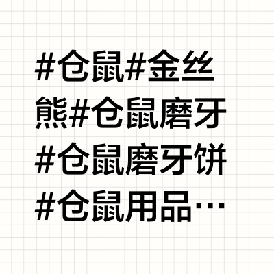仓鼠磨牙产品太多啦！到底怎么选？