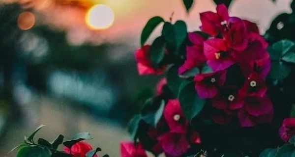 雪地靴选购指南：高帮男女防水保暖冰面防滑户外雪地靴CA-0656解析