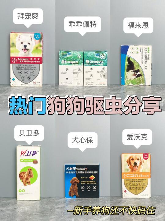 热门狗狗驱虫药怎么选？看这篇就够了