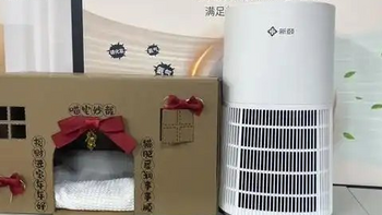 养宠家庭必看！新颐X3pet宠物空气净化器深度剖析