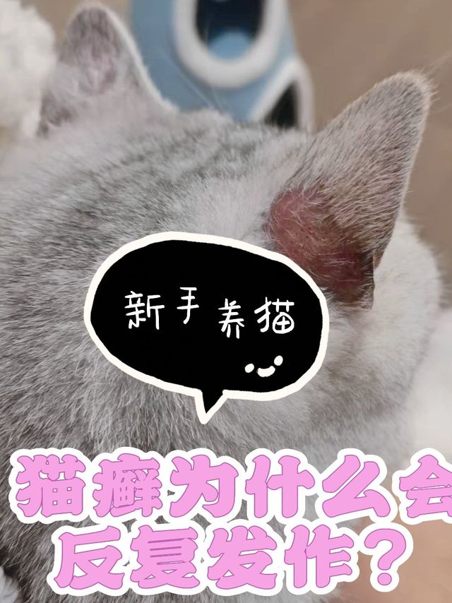 猫癣为什么反复发作？