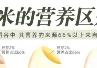 糙米、胚芽米和精白米，口感大揭秘！